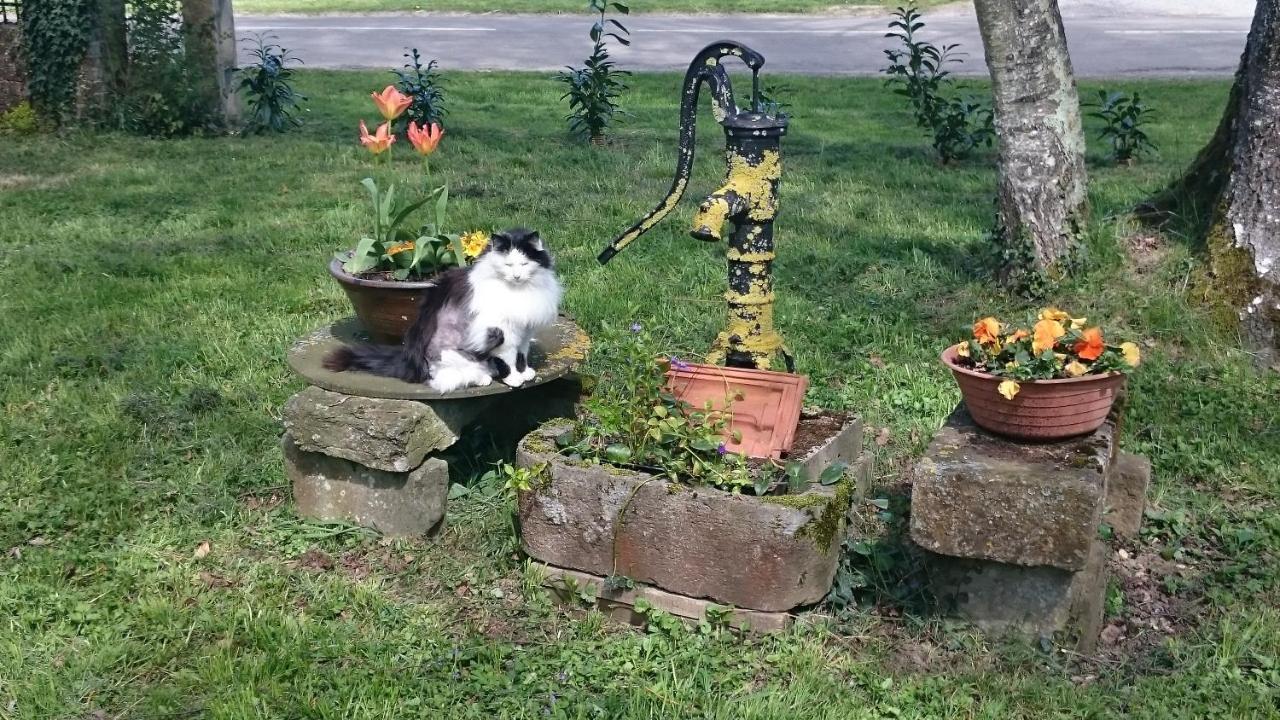 Le Marly'S Villa Wasigny Dış mekan fotoğraf